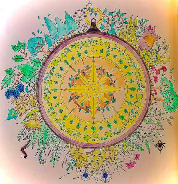 Mindfulness colouring of a compass