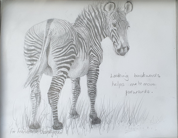 An illustration of a zebra
